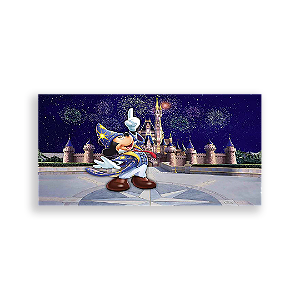 Painel Retangular - Disney - Sublimado 3D