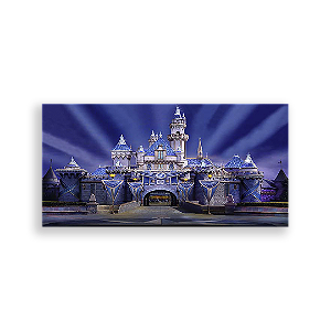 Painel Retangular - Disney - Sublimado 3D