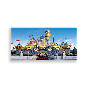 Painel Retangular - Disney Castelos - Sublimado 3D