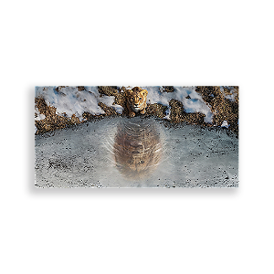 Painel Retangular - Mufasa - Sublimado 3D