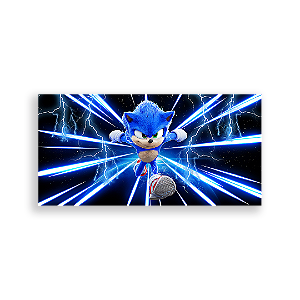 Painel Retangular - Sonic - Sublimado 3D