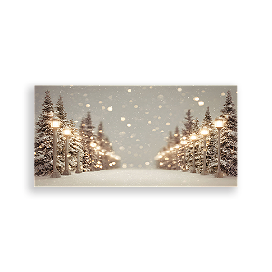 Painel Retangular Sublimado 3D - Fundo Fotografico Natal