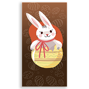 Capa Faixa Lateral Sublimado - Páscoa