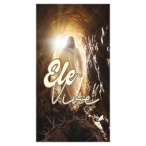 Capa Faixa Lateral Sublimado - Pascoa