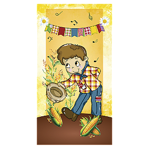 Capa Mini Faixa Lateral Sublimado - Festa Junina
