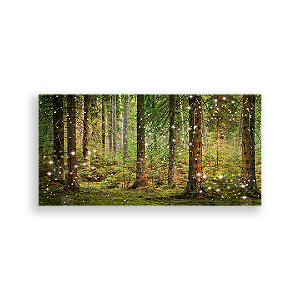 Capa Painel Retangular Sublimado - Floresta Encantada