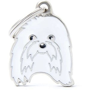Medalha Identificação MyFamily Friends para Cão Bichon Maltês