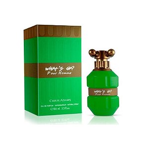 Perfume Masculino Chris Adams Whats Up Pour Homme Eau De Parfum 100Ml
