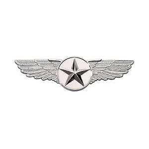 Emblema Grande de Estrela Prateada com Asas (6,4CM)