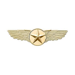 Emblema Estrela Dourada com Asa - Grande (6,4 CM)