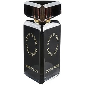 Perfume Estado de Espírito Segredo do Sucesso EDP 100mL - Unissex