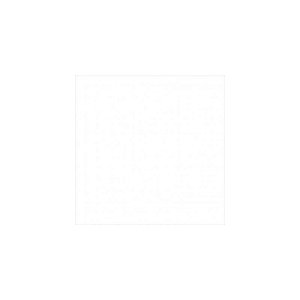 Interface Sas de Servidor IBM 6Gbps com 4 Portas