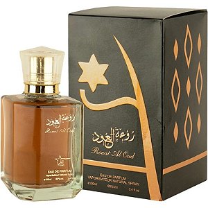 Perfume Aryan Rouat Al Oud EDP 100ml - Masculino