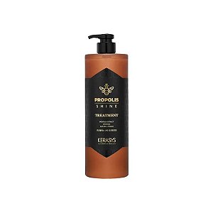 Shampoo Tratamento Capilar Kerasys Própolis Brilho - 1L