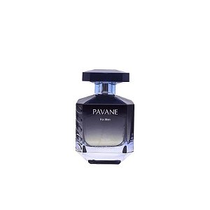 Perfume Masculino Elodie Roy Pavane Edp 100ML