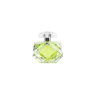 Perfume Britney Spears Believe Eau de Parfum 100ML