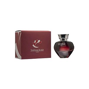Perfume Feminino Elysees Fashion Tendresse Du Soir Edp 100ML