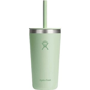 Garrafa Térmica Hydro Flask T20PSC338 (591mL) Aloe