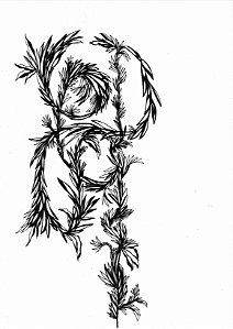 Série 'Que então floresça terra onde já não brota flor'