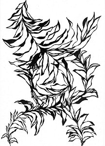 Série 'Que então floresça terra onde já não brota flor'