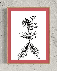 Série 'Que então floresça terra onde já não brota flor'