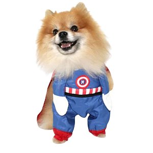 Fantasia PET Herói