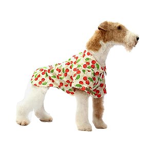 Camisa PET Fruit Cereja