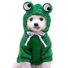 Moletom PET Sapo