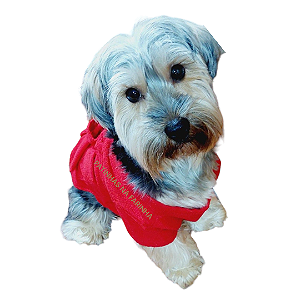 Roupão Atoalhado para Pet