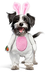 Fantasia PET Coelho