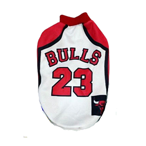 Camiseta PET Bulls
