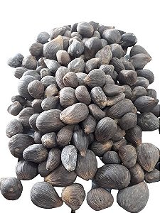 FAVA IKIN AFRICANO