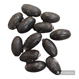 FAVA DE EWA UNID