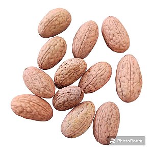 FAVA DE BARA UNID