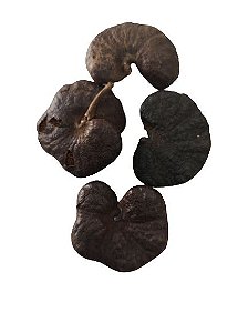 FAVA DE OFA UNID