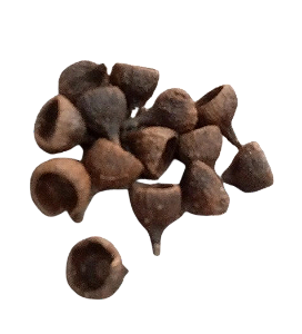 FAVA DE OLHO GRANDE UNID