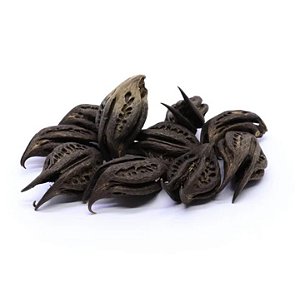 FAVA UNHA DE POMBA GIRA OU EXU UNID