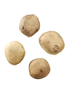 FAVA SUCUPIRA UNID