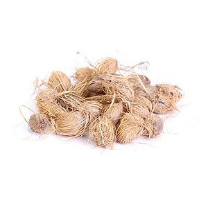 FAVA SAUDE UNID