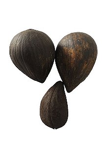 FAVA SAO CIPRIANO UNID