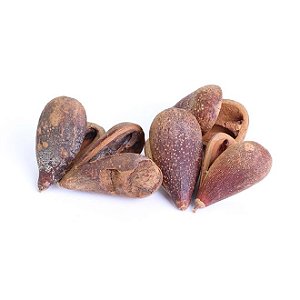 FAVA DE OPELE UNID