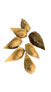FAVA FORTUNA