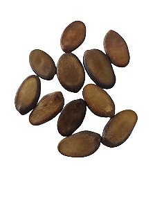FAVA DIVINA UNID