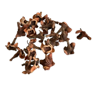 FAVA AMARRACAO UNID
