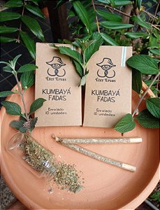 Kumbayá Fadas Enrolado