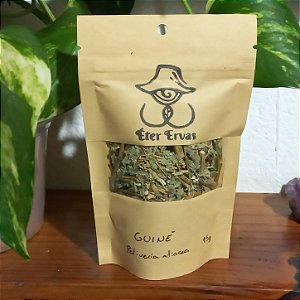 Guiné