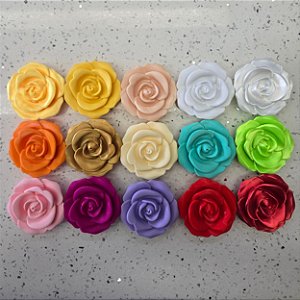 ROSA IMÃ DE GELADEIRA