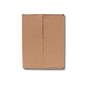 Caixa B0 - 20 unidades (19x16x7 cm)