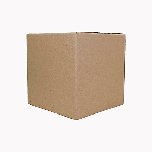 Caixa C0 - 20 unidades (20x20x20 cm)