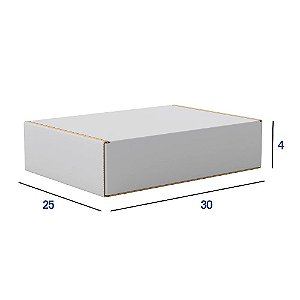 Caixa de Papelão Grande Branca - 30 x 25 x 4